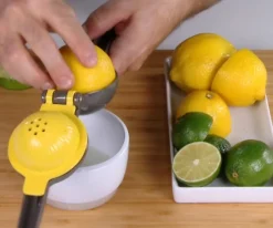 Preparation & Cooking*Ricardo 2 In 1 Juicer