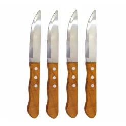 Dishware*Danesco 4 Steak Knives