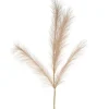 Dried Stems & Flowers*Attitudes Import Beige Feathers Stem - Illuminated