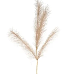 Dried Stems & Flowers*Attitudes Import Beige Feathers Stem - Illuminated
