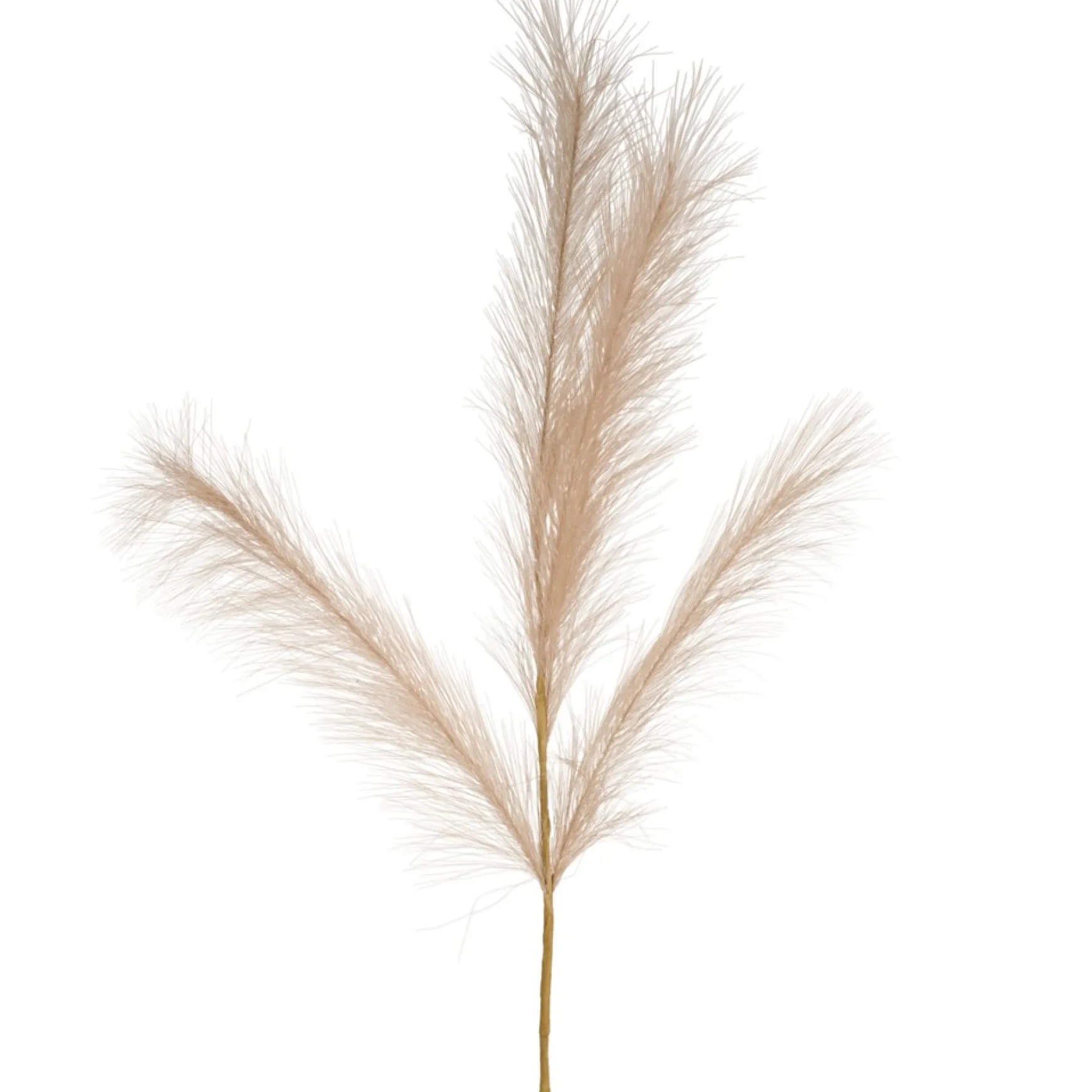 Dried Stems & Flowers*Attitudes Import Beige Feathers Stem - Illuminated