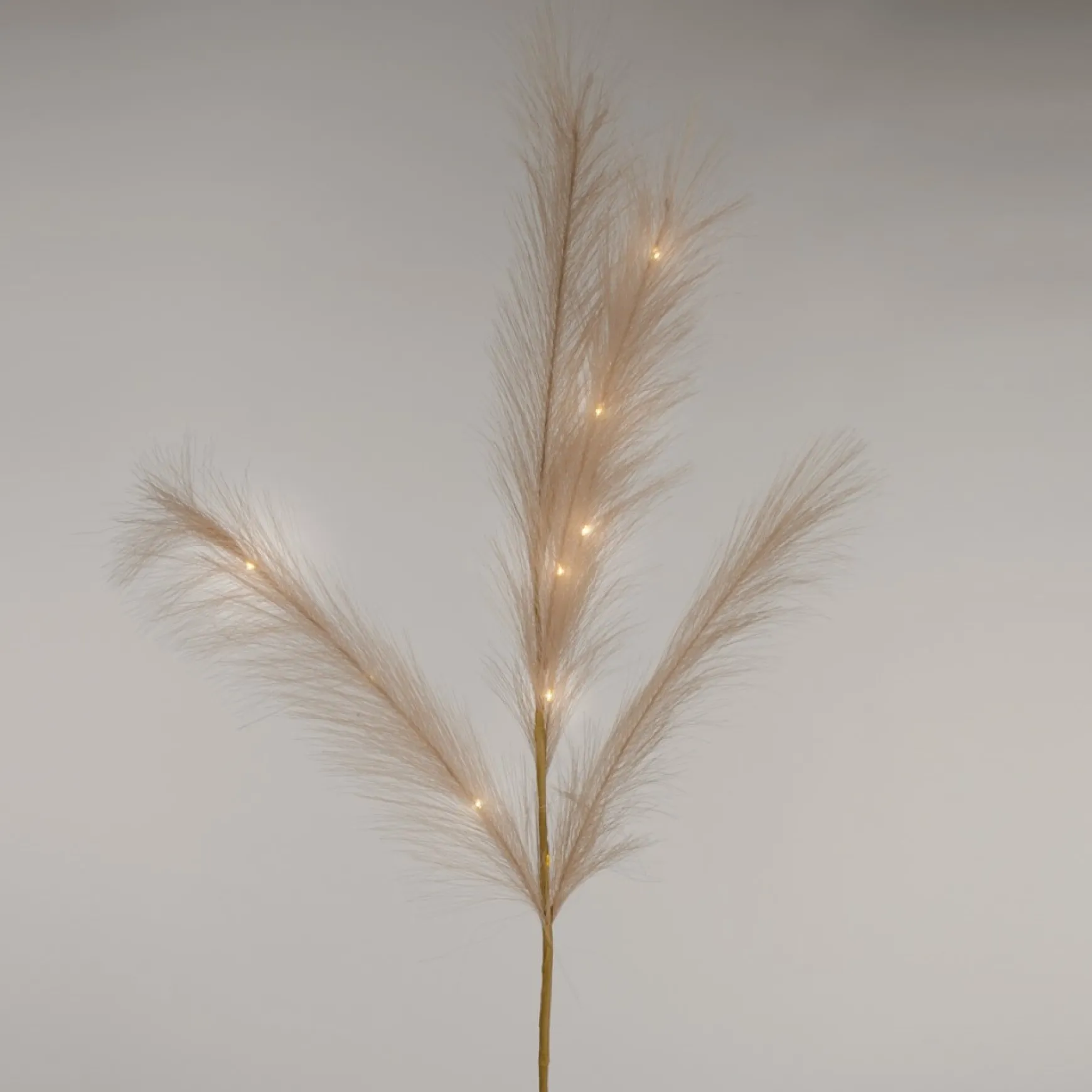 Dried Stems & Flowers*Attitudes Import Beige Feathers Stem - Illuminated