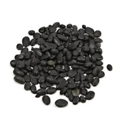 Decorative Stones*Abbott Black River Pebbles - Micro