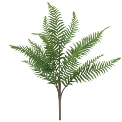 Greenery*Attitudes Import 2 Bouquet Of Fern