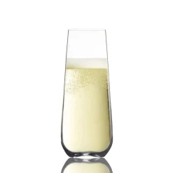 All For Wine*Trudeau Champagne Glass Without Stem - Gala 240 Ml