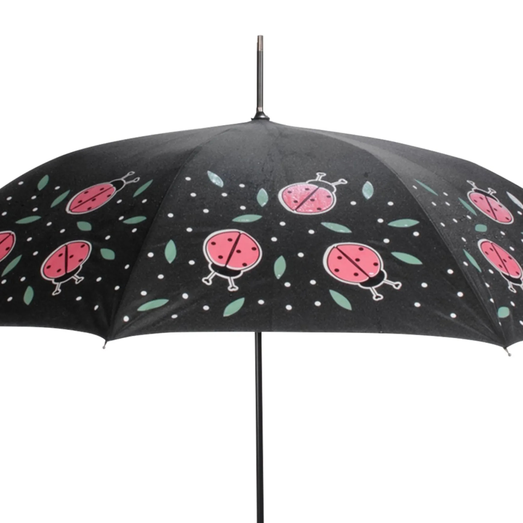 Umbrellas For Adult*Attitudes Import 2 Color Changing Umbrella - Ladybugs
