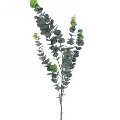 Greenery*Attitudes Import 2 Eucalyptus Stem