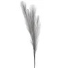 Dried Stems & Flowers*Attitudes Import 2 Feather Branch - Grey