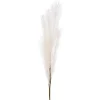 Dried Stems & Flowers*Attitudes Import 2 Feather Branch - Salmon