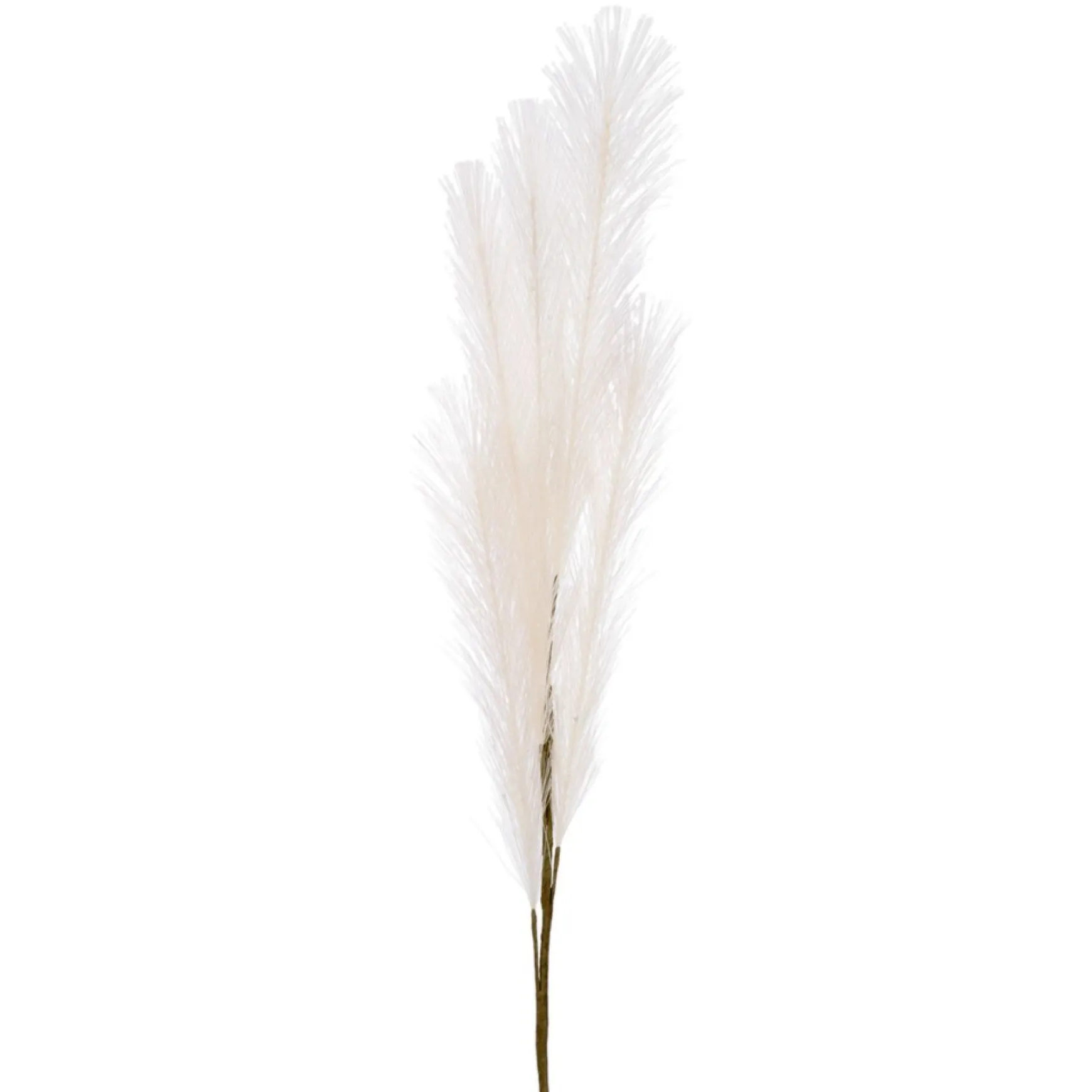 Dried Stems & Flowers*Attitudes Import 2 Feather Branch - Salmon
