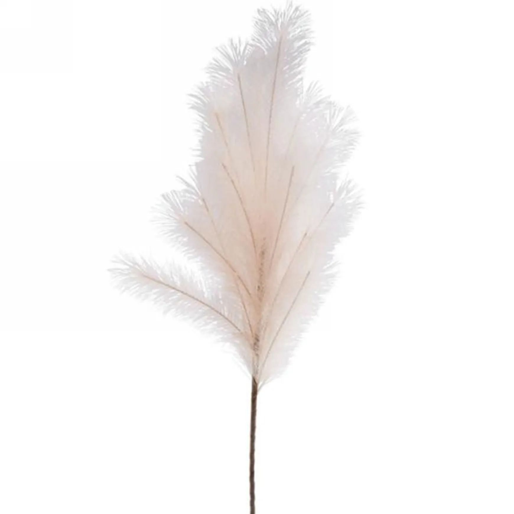Dried Stems & Flowers*Attitudes Import 2 Feather Stem - Beige