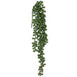 Greenery*Attitudes Import 2 Green Hanging