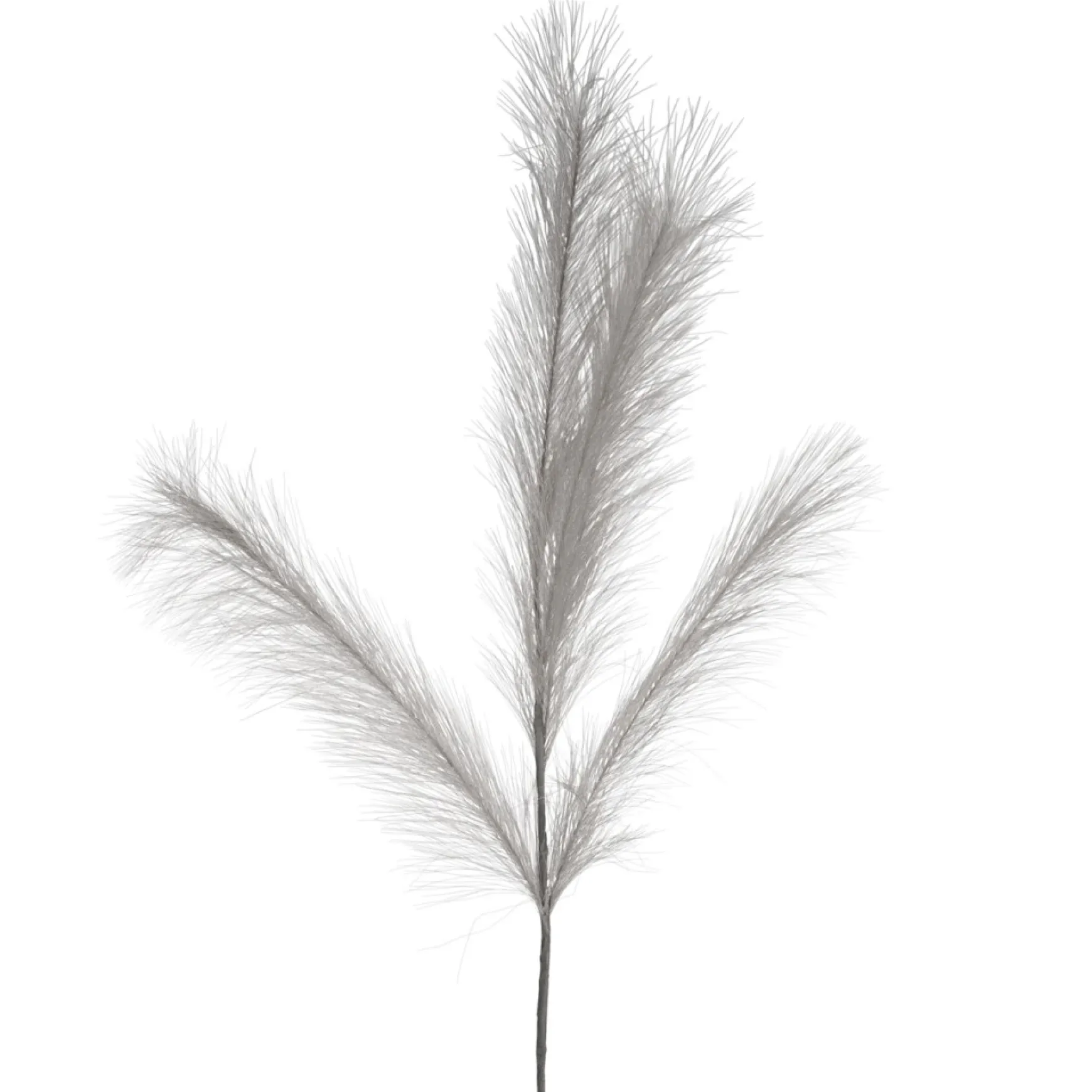 Dried Stems & Flowers*Attitudes Import Grey Feathers Stem - Illuminated