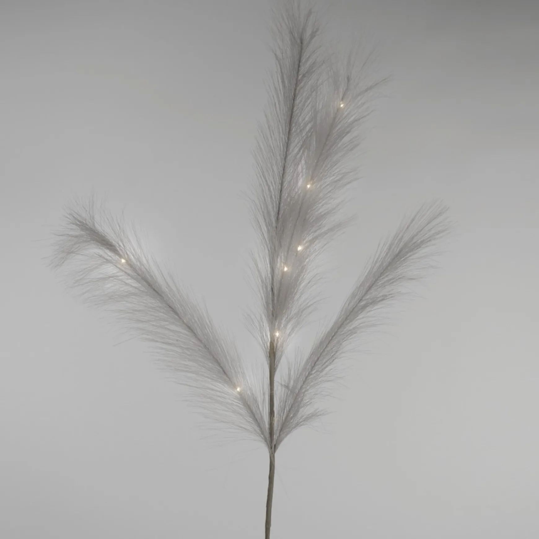 Dried Stems & Flowers*Attitudes Import Grey Feathers Stem - Illuminated