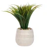 Arrangements*Attitudes Import Herbs In Textured Pots