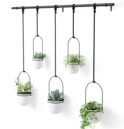 Wall Planters*Umbra Large Hanging Planter - Triflora