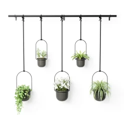 Wall Planters*Umbra Large Hanging Planter - Triflora