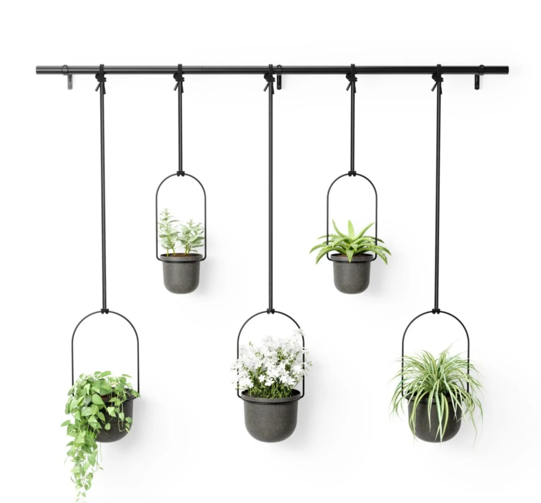 Wall Planters*Umbra Large Hanging Planter - Triflora