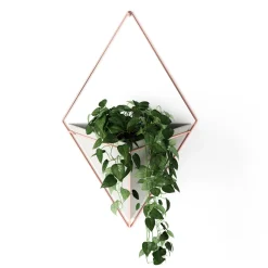 Wall Planters*Umbra Large White Wall Planter - Trigg