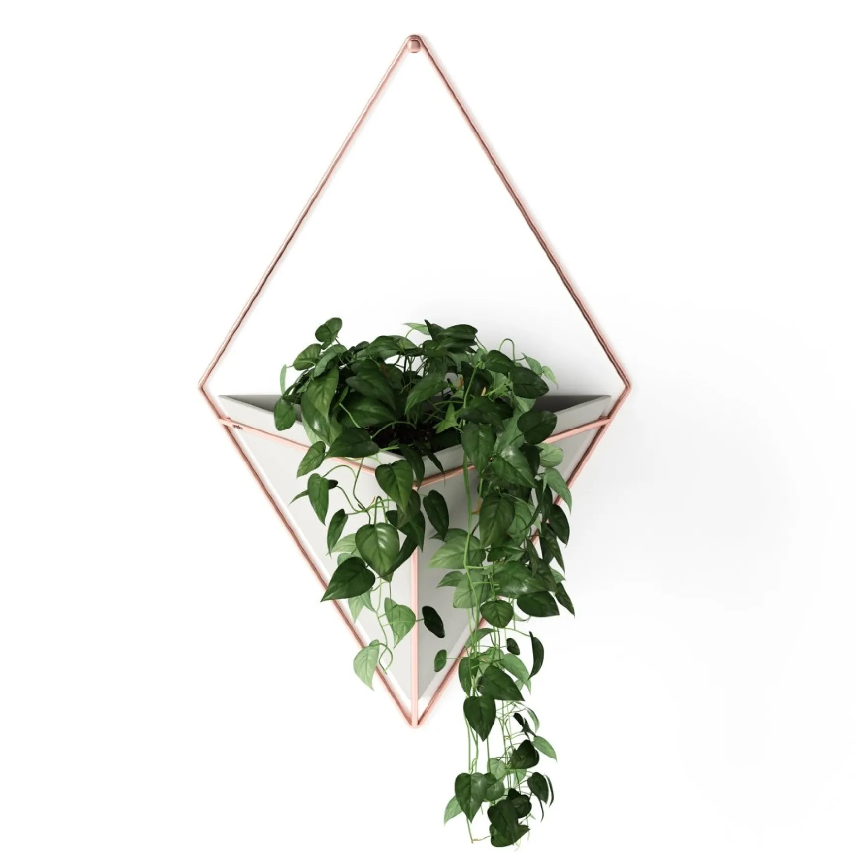 Wall Planters*Umbra Large White Wall Planter - Trigg