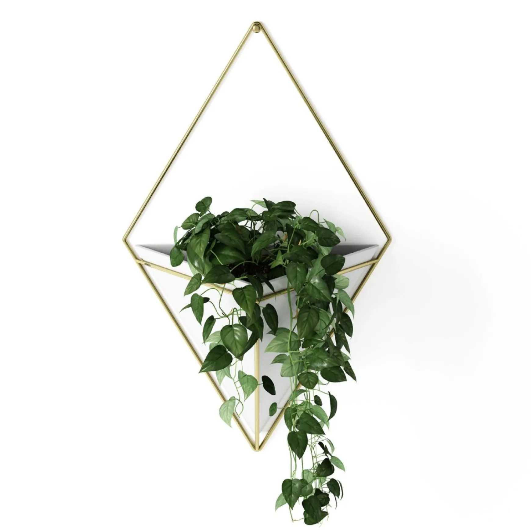 Wall Planters*Umbra Large White Wall Planter - Trigg