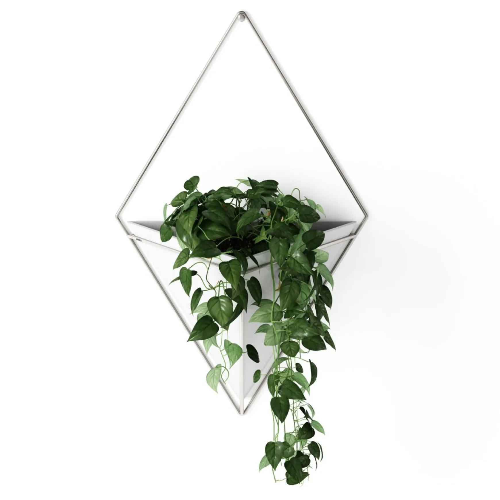 Wall Planters*Umbra Large White Wall Planter - Trigg