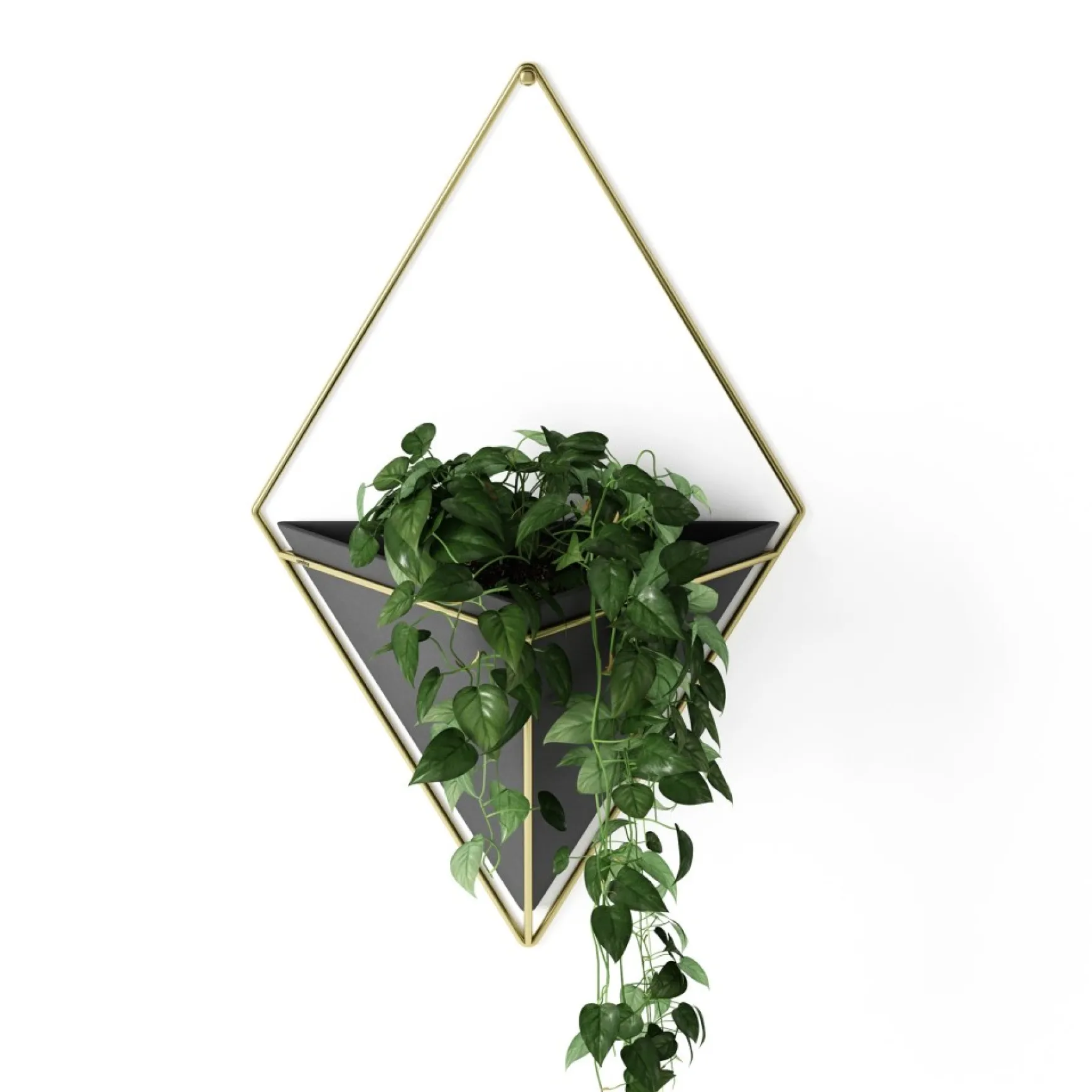 Wall Planters*Umbra Large White Wall Planter - Trigg