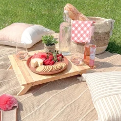 Serving Accessories*Danesco Mini Folding Picnic Table