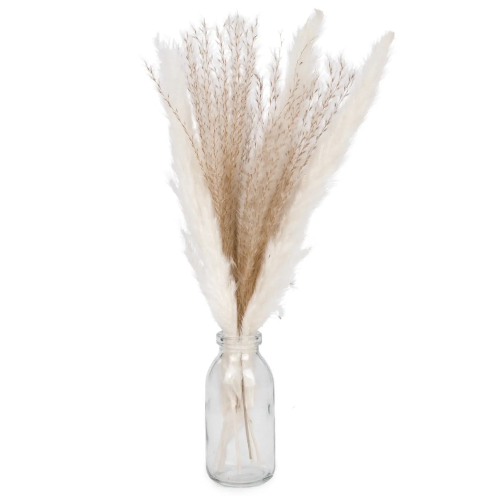 Arrangements*Attitudes Import Pampas Grass In A Vase
