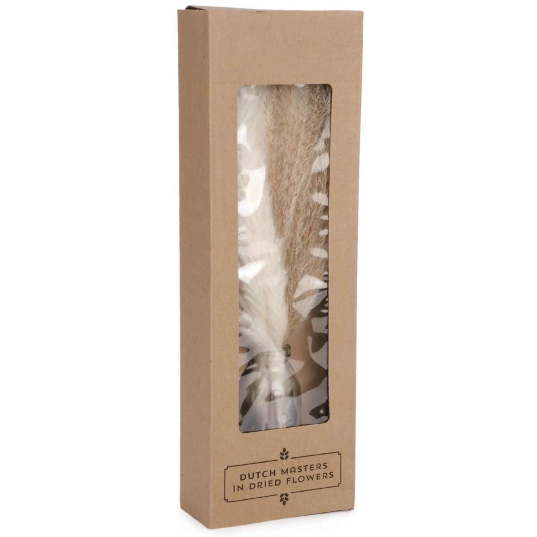 Arrangements*Attitudes Import Pampas Grass In A Vase