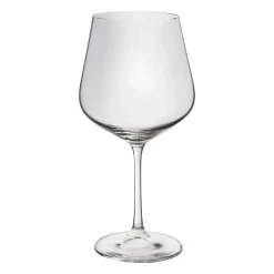 All For Wine*Trudeau Red Wine Glass - Splendido