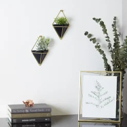 Planters*Umbra Set Of 2 Wall Mounted Planters - Trigg Black