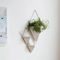 Planters*Umbra Set Of 2 Wall Mounted Planters - Trigg