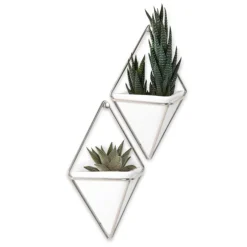 Planters*Umbra Set Of 2 Wall Mounted Planters - Trigg