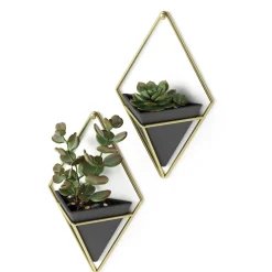 Wall Planters*Umbra Set Of 2 Wall Mounted Planters - Trigg Black