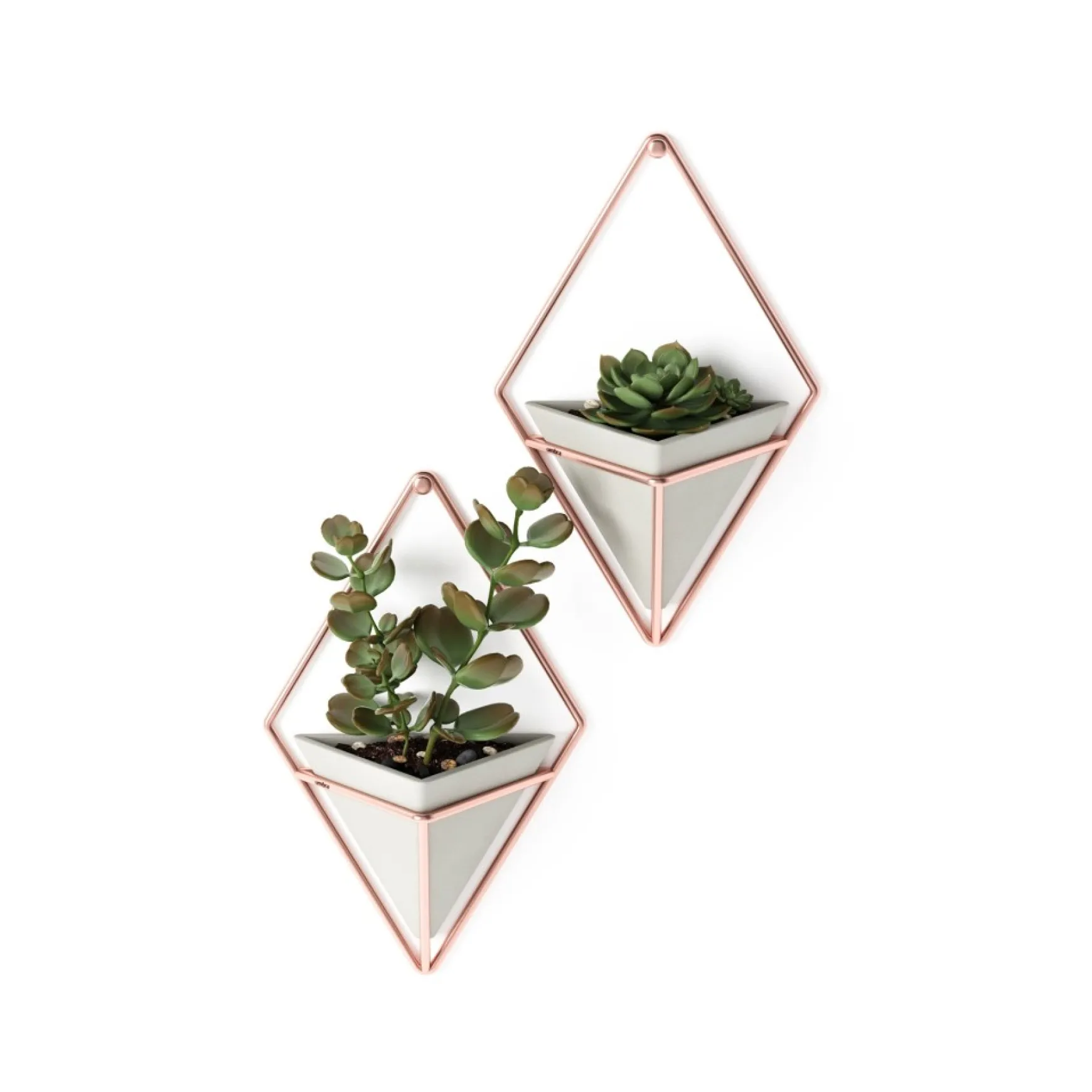 Wall Planters*Umbra Set Of 2 Wall Mounted Planters - Trigg