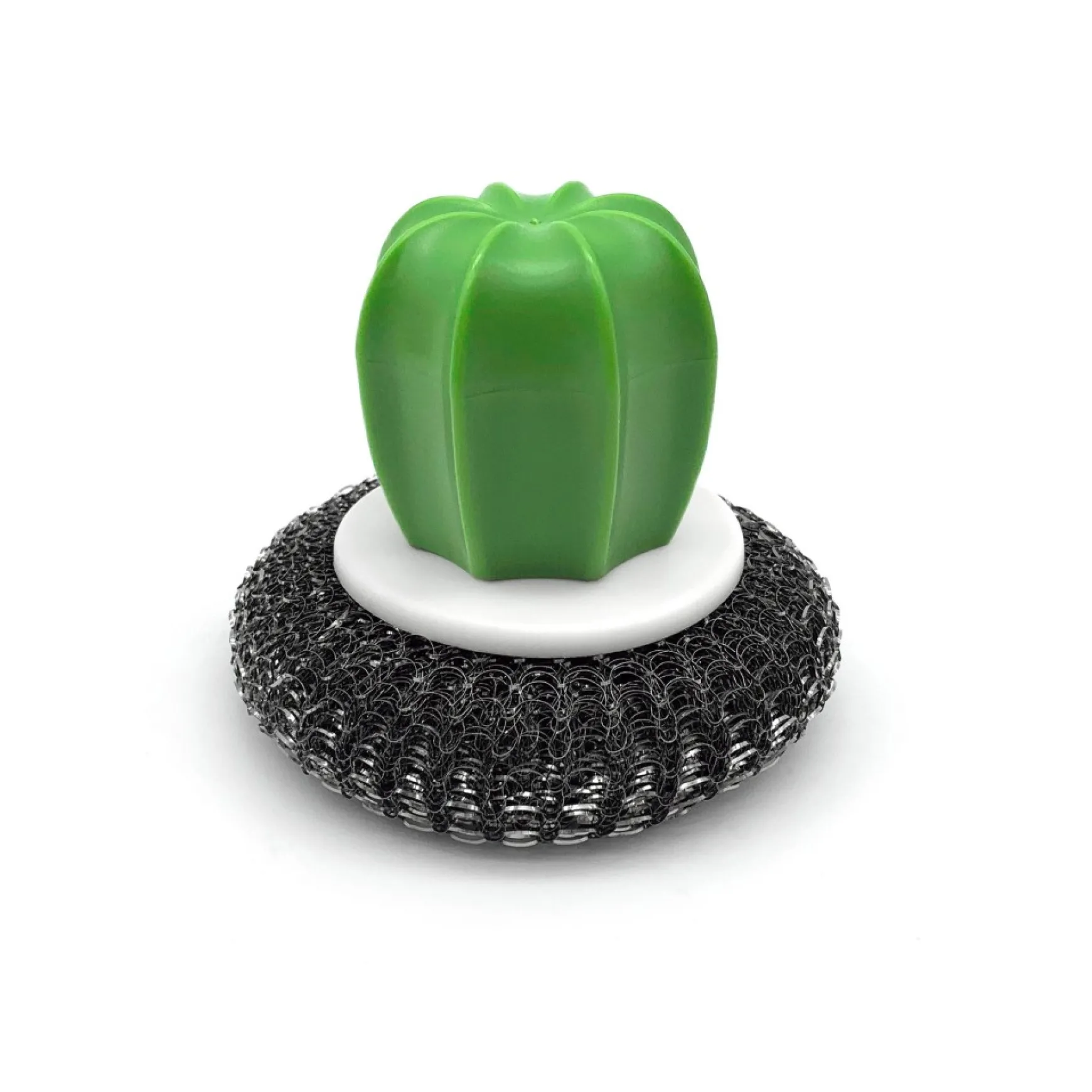 Maintenance & Cleaning*Ricardo Stainless Steel Scrubbing Brush