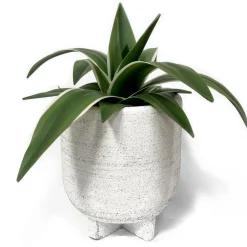 Vases & Pots*Nostalgia Import Vase On Stand - Paraiso Black & White