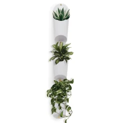 Wall Planters*Umbra Wall Mounted Planter Trio - Floralink