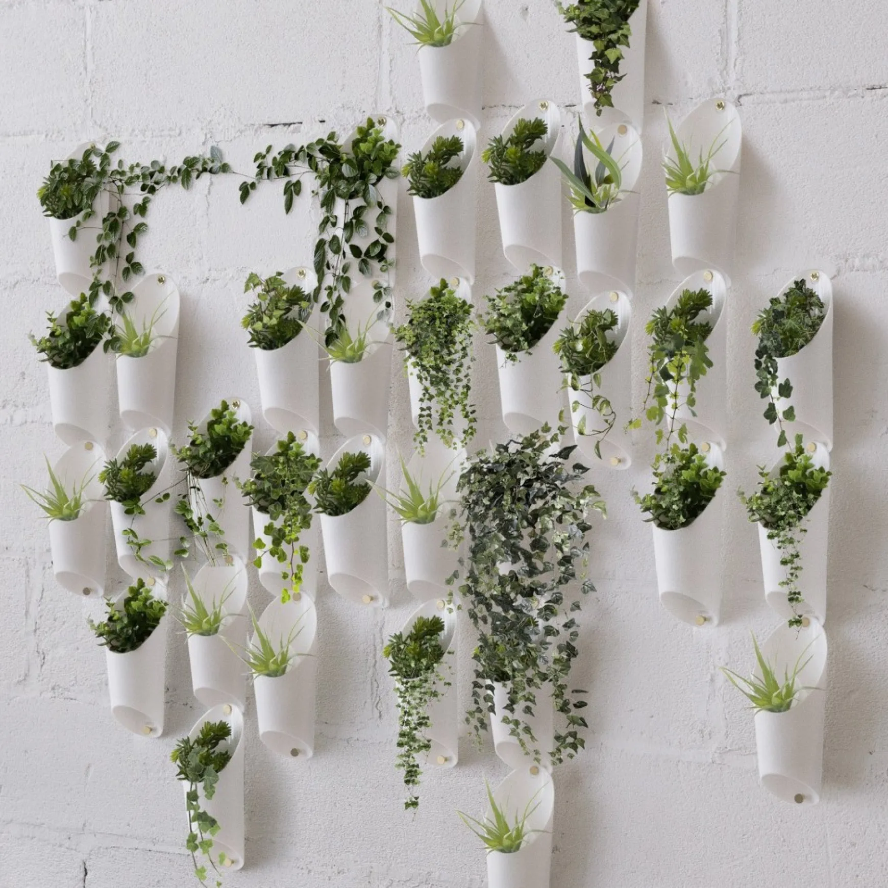 Wall Planters*Umbra Wall Mounted Planter Trio - Floralink