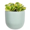 Planters*Abbott Wall Vase - Mint Green