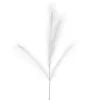 Dried Stems & Flowers*Attitudes Import White Feather Stem - Illuminated