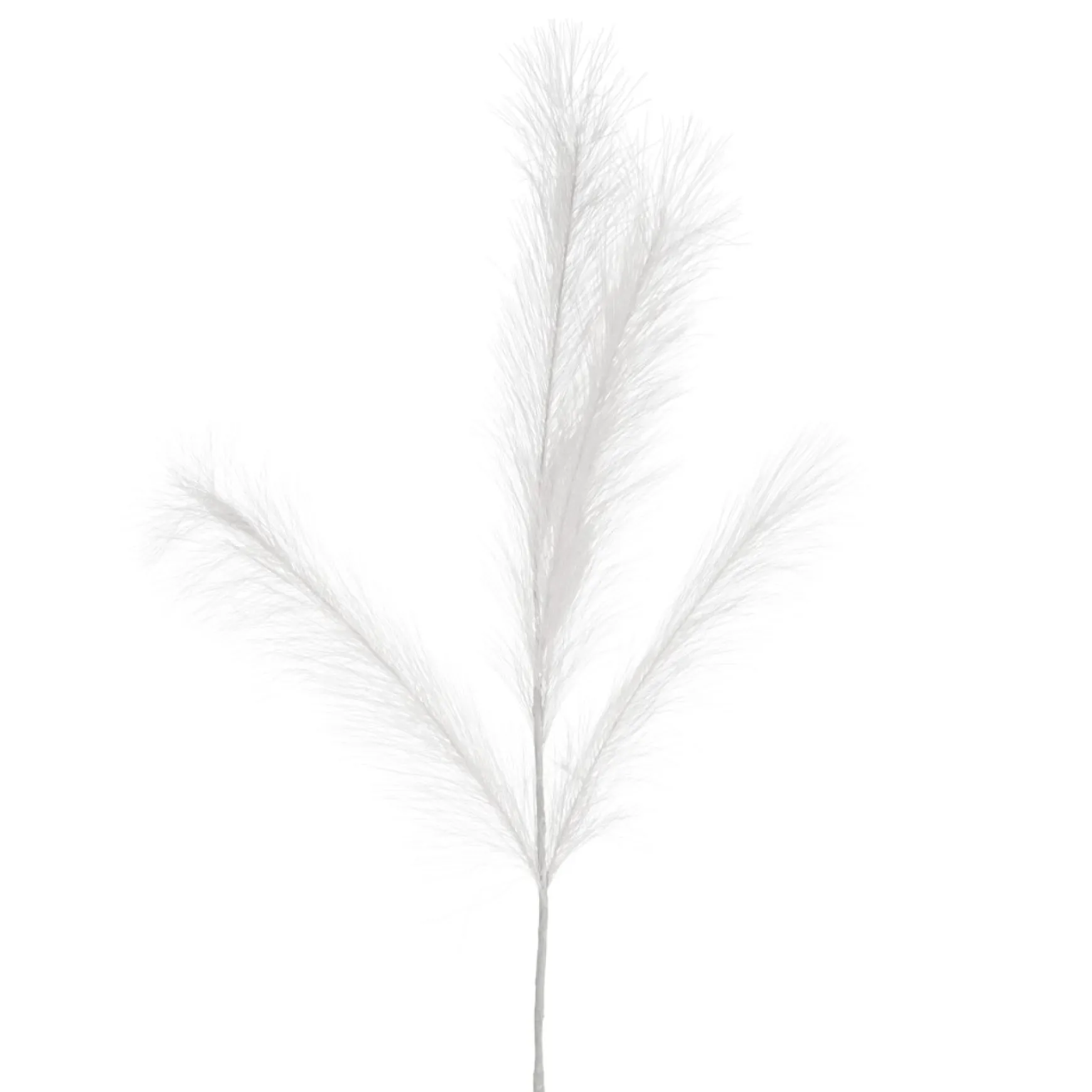 Dried Stems & Flowers*Attitudes Import White Feather Stem - Illuminated
