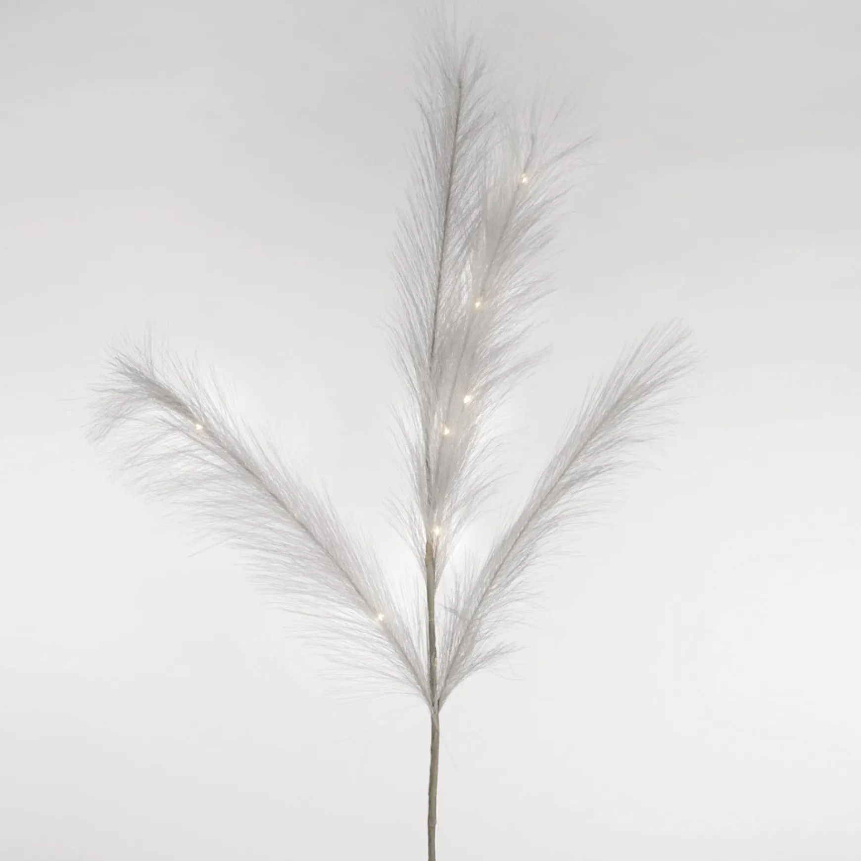 Dried Stems & Flowers*Attitudes Import White Feather Stem - Illuminated
