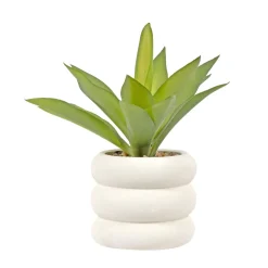 Arrangements*CTG Brands White Pot Plant - Bubble
