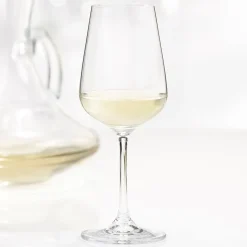All For Wine*Trudeau White Wine Glass 360 Ml - Splendido