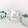 Scented Candles*Kozy x Three Wix & CO 3-Wick Candle - Eucalyptus